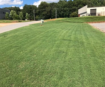 After Lawn Care Maintenance